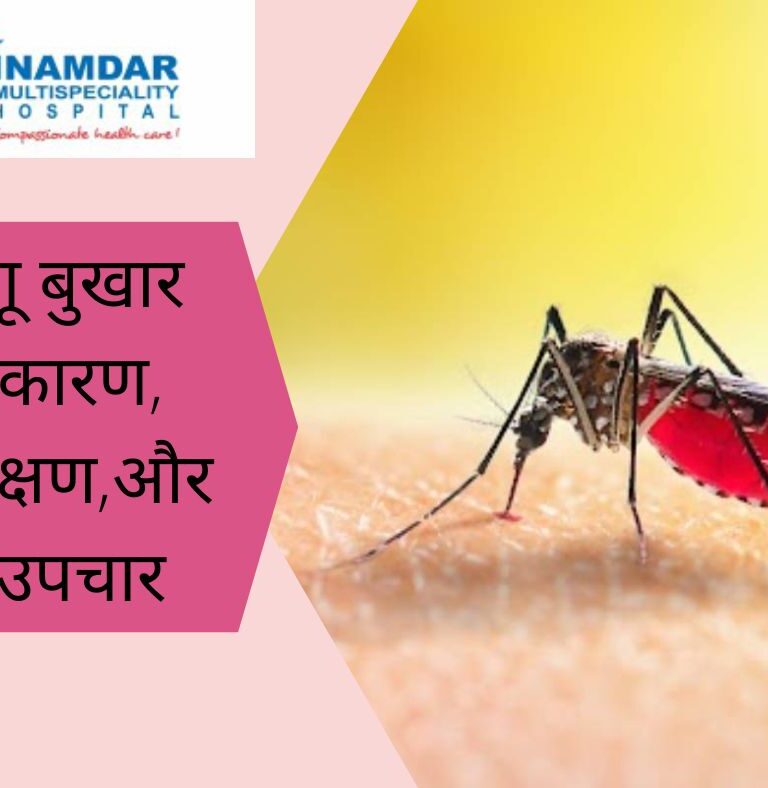 डेंगू बुखार | Dengue Fever Treatment in Pune | Inamdar Hospital